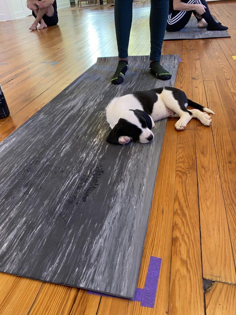 light on yoga
