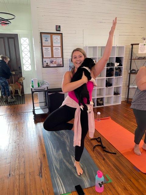 light on yoga 