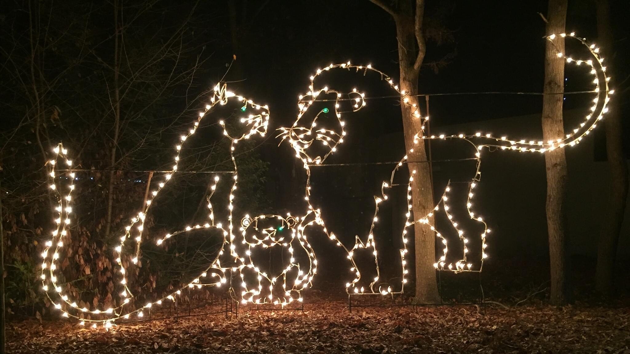 See the Montgomery Zoo transformed into a magical winter wonderland See the Montgomery Zoo transformed into a magical winter wonderland