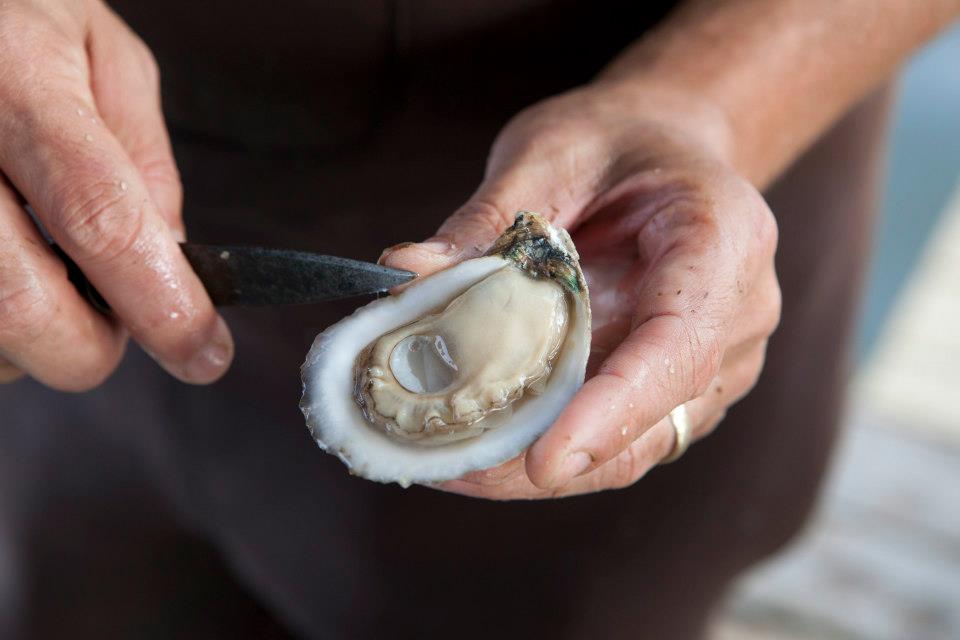 3 Alabama companies named best oysters in state by Garden & Gun—find out who