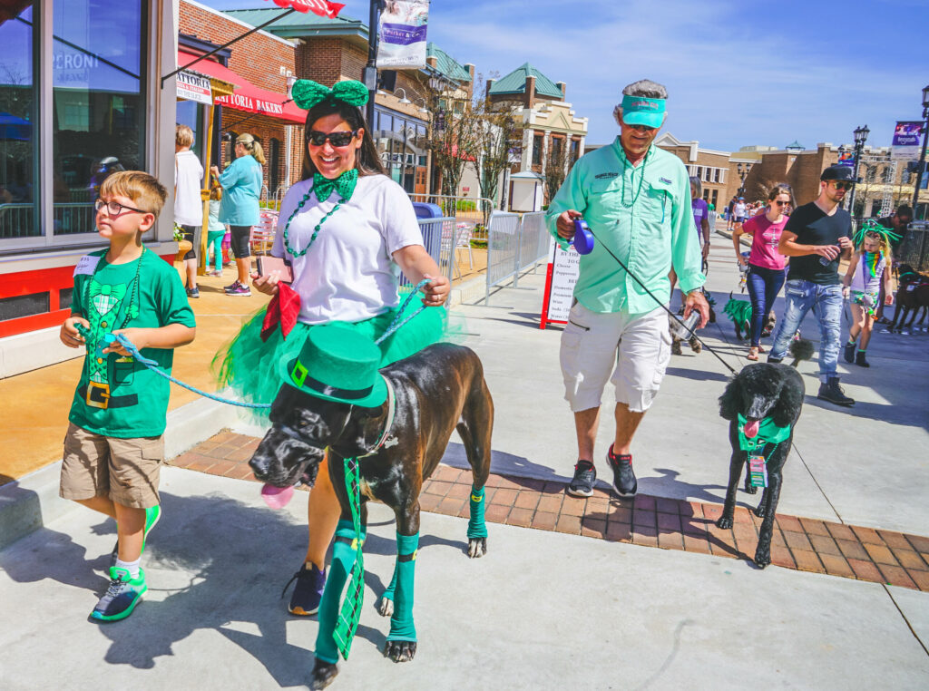 Uncategorized St Pawttys Day