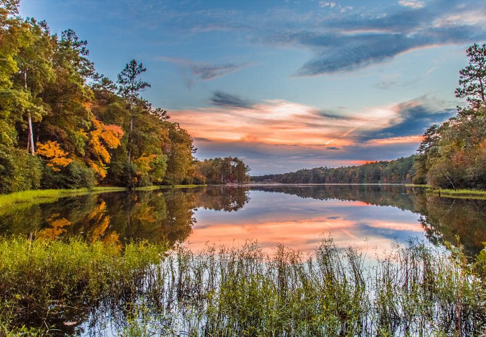 Oak Mountain State Park’s New Color Corrective Viewfinders Help Those With Color Blindness Oak Mountain State Park’s New Color Corrective Viewfinders Help Those With Color Blindness