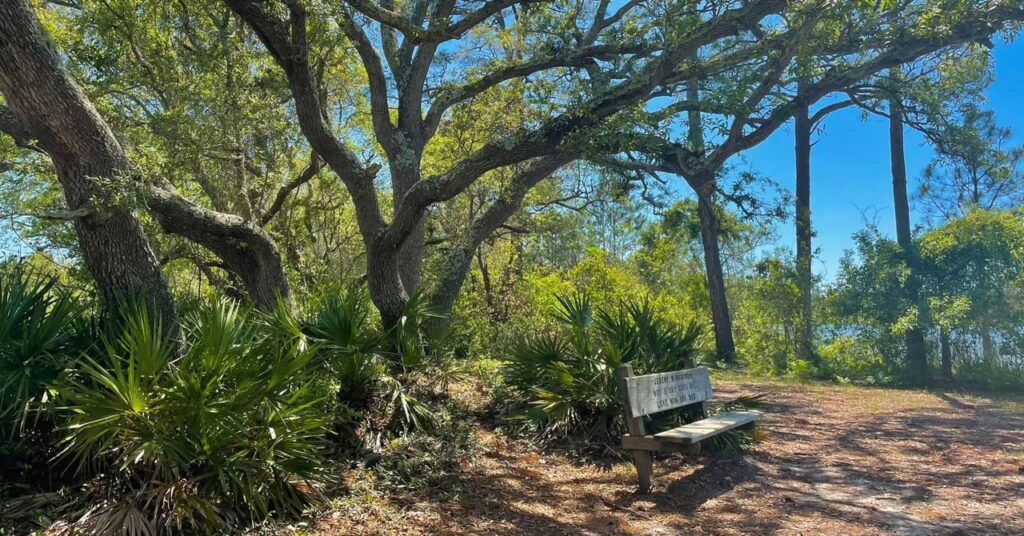 USA Today names Gulf State Park one of the best state parks for camping + RVing USA Today names Gulf State Park one of the best state parks for camping + RVing