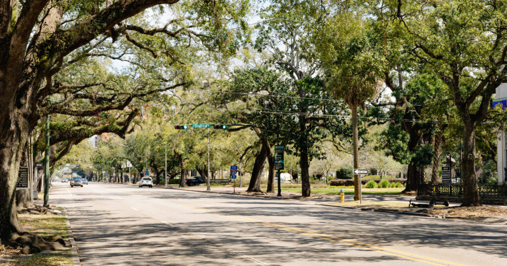 New assessment ordered for every road in Mobile city limits