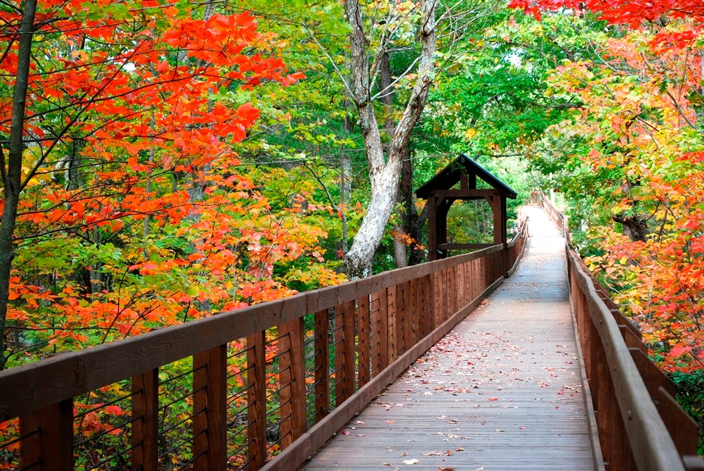 2 Alabama towns named beautiful fall foliage spots—see who made the list