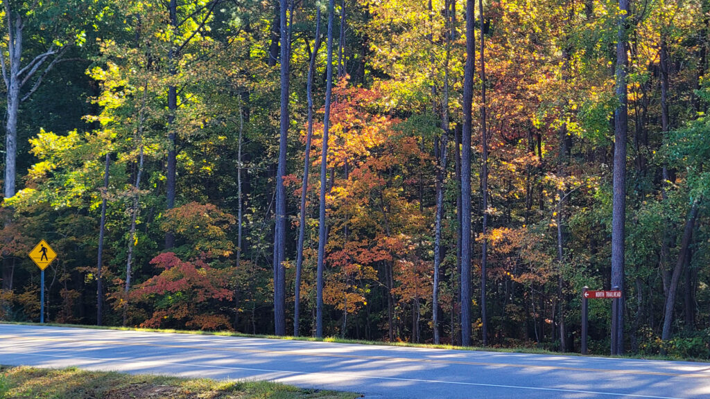 Alabama hotspots featured on E Magazine’s ultimate Southeastern road trip itinerary