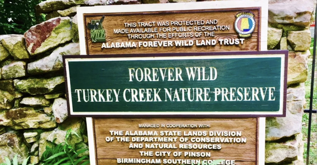 Forever Wild