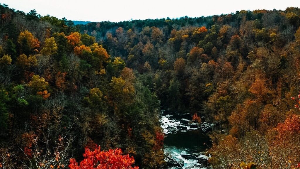 REPORT: Little River Canyon generates nearly 0M in economic output REPORT: Little River Canyon generates nearly 0M in economic output