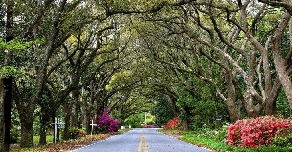 WorldAtlas names Alabama’s best small towns for outdoor enthusiasts WorldAtlas names Alabama’s best small towns for outdoor enthusiasts