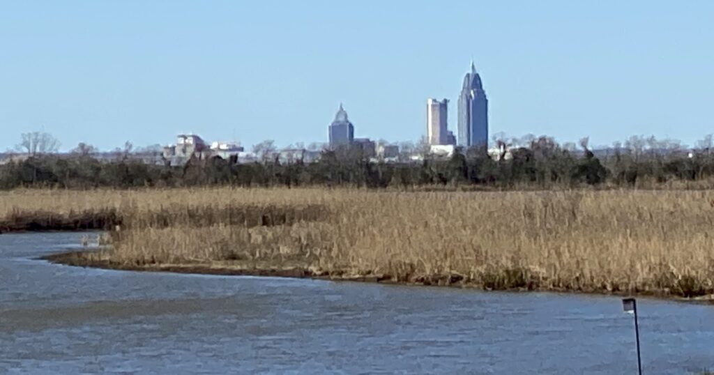 Mobile Bay National Estuary Program names new director Mobile Bay National Estuary Program names new director