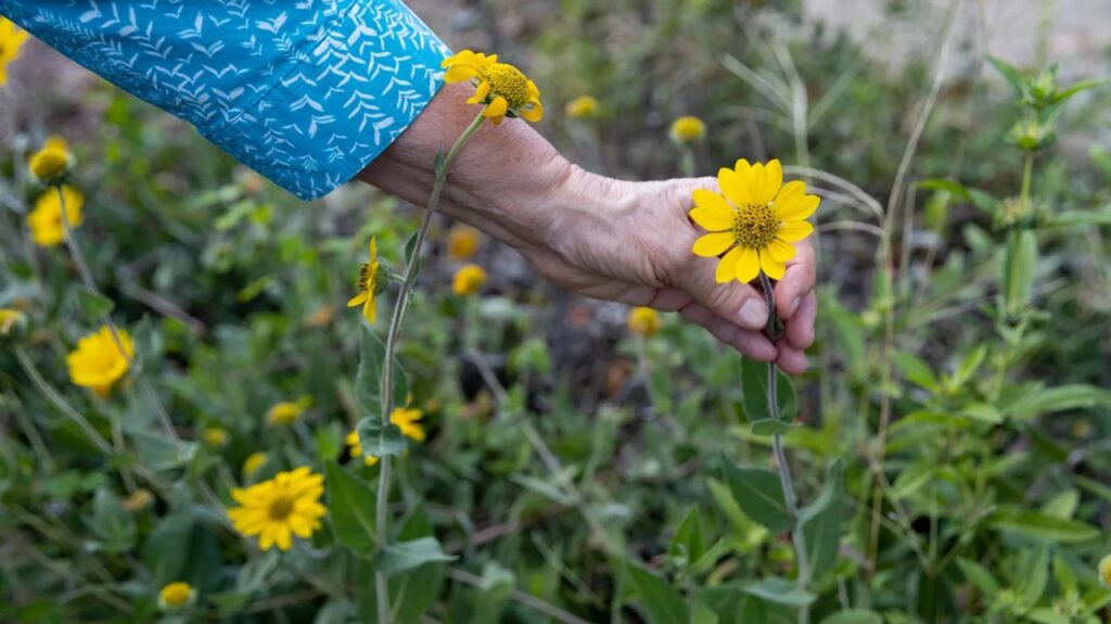 Gardening Made Easy— your guide to Spring Plant Sales + more In Lower Alabama