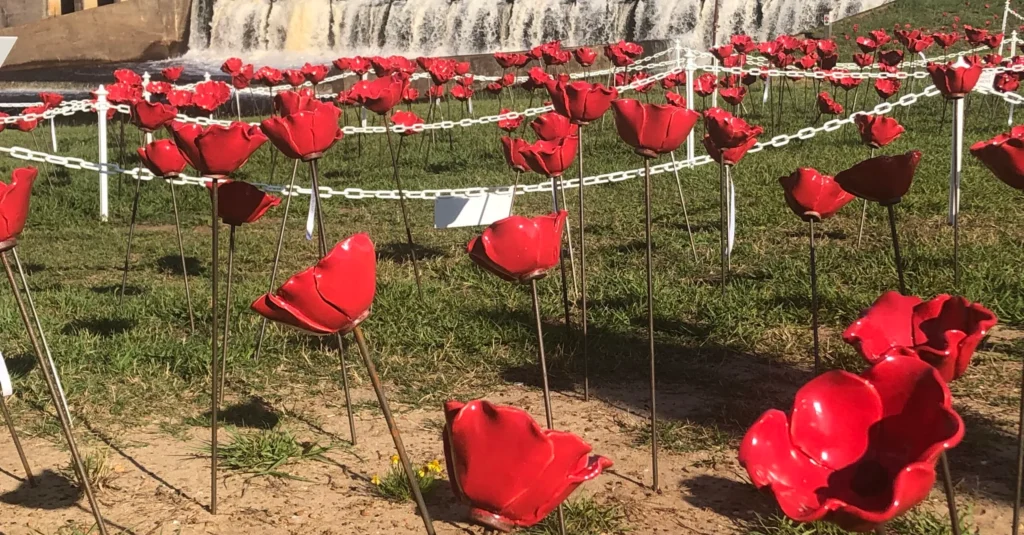 Welcome to the Alabama Poppy Project