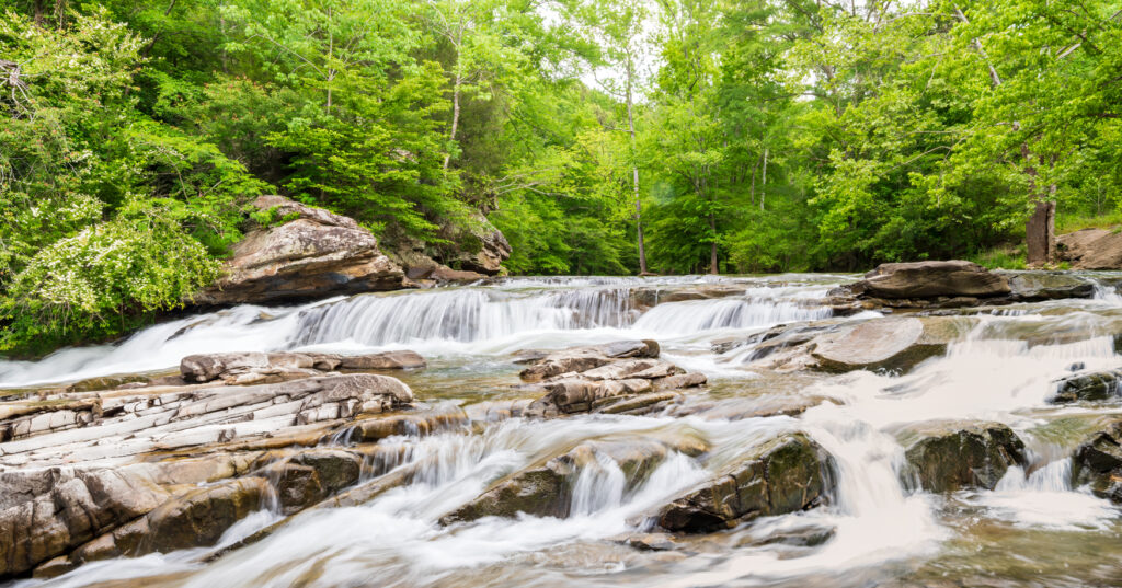 Forever Wild moving forward with expansion plans for Turkey Creek, Dugdown Corridor
