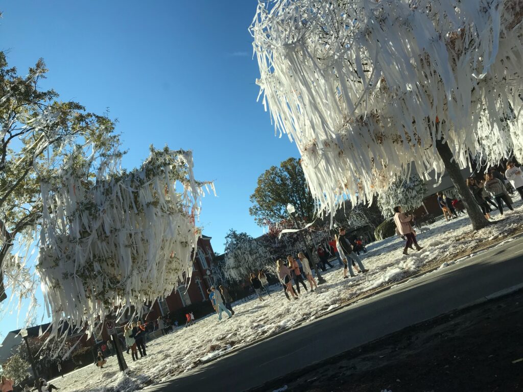Toomer’s Corner tree-rolling tradition is back after 6 years