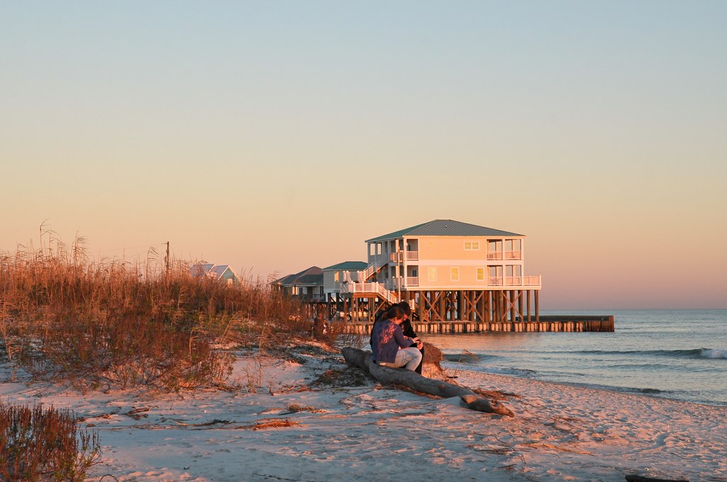 New Dauphin Island land donation gives the University of South Alabama a “living laboratory” New Dauphin Island land donation gives the University of South Alabama a “living laboratory”