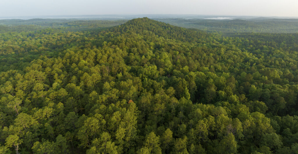 NEW: 596-acre Wheeler Mountain tract preserved by The Nature Conservancy NEW: 596-acre Wheeler Mountain tract preserved by The Nature Conservancy