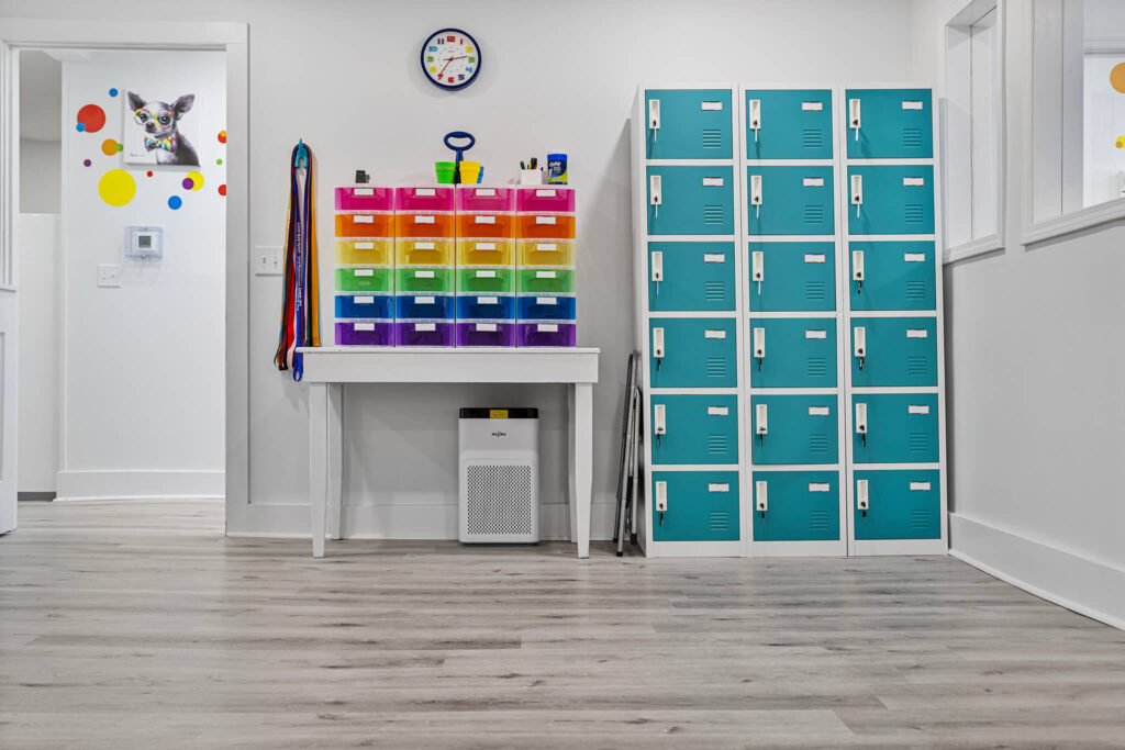 NEW: Fur Baby University is a college-style doggie daycare now open in Alabama NEW: Fur Baby University is a college-style doggie daycare now open in Alabama