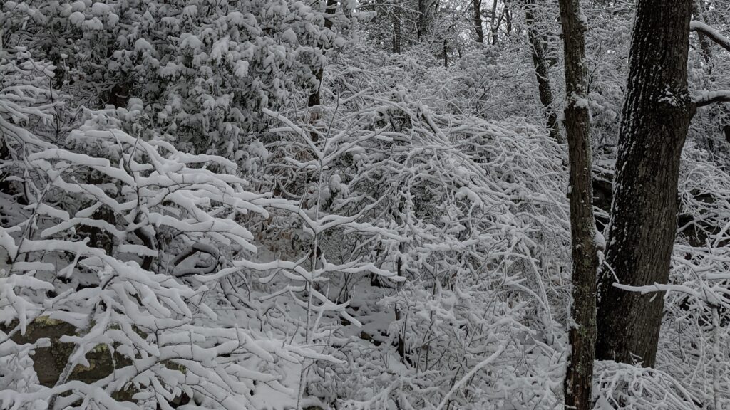 What you need to know about the Jan. 14 state of emergency for Alabama—ice, sleet + snow What you need to know about the Jan. 14 state of emergency for Alabama—ice, sleet + snow