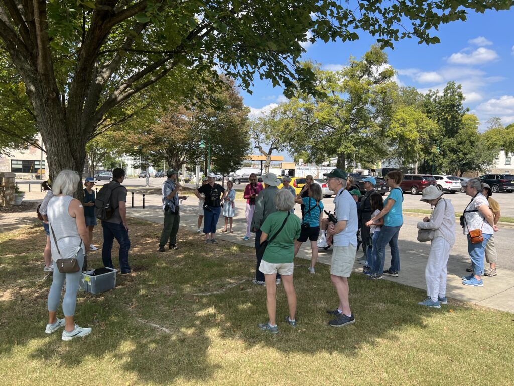 A beginner’s guide to birding in Alabama—plus details on a special new event happening this year A beginner’s guide to birding in Alabama—plus details on a special new event happening this year