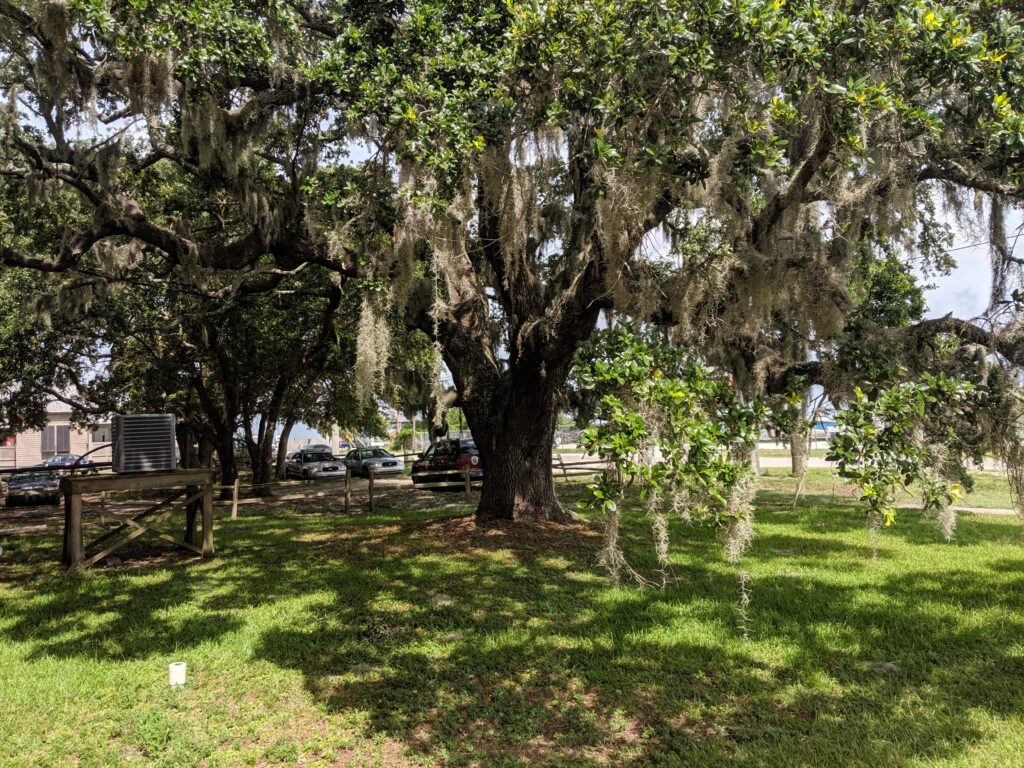 NEW: Dauphin Island listed among best Gulf coast towns by World Atlas