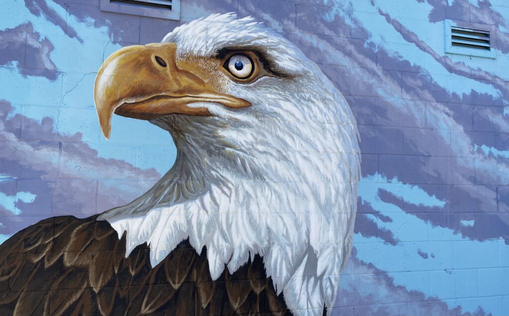 6 murals in Dothan you have to see