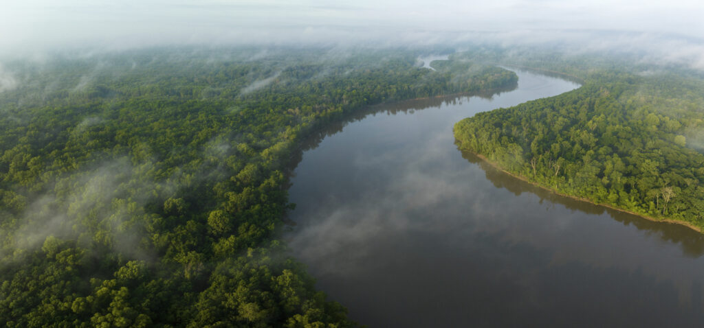 Huge 8,000-acre tract in Mobile-Tensaw Delta now protected by The Nature Conservancy Huge 8,000-acre tract in Mobile-Tensaw Delta now protected by The Nature Conservancy