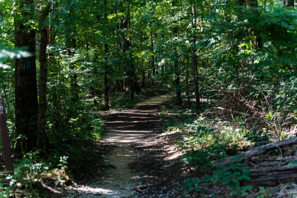 Check out these 5 amazing Alabama hikes in March