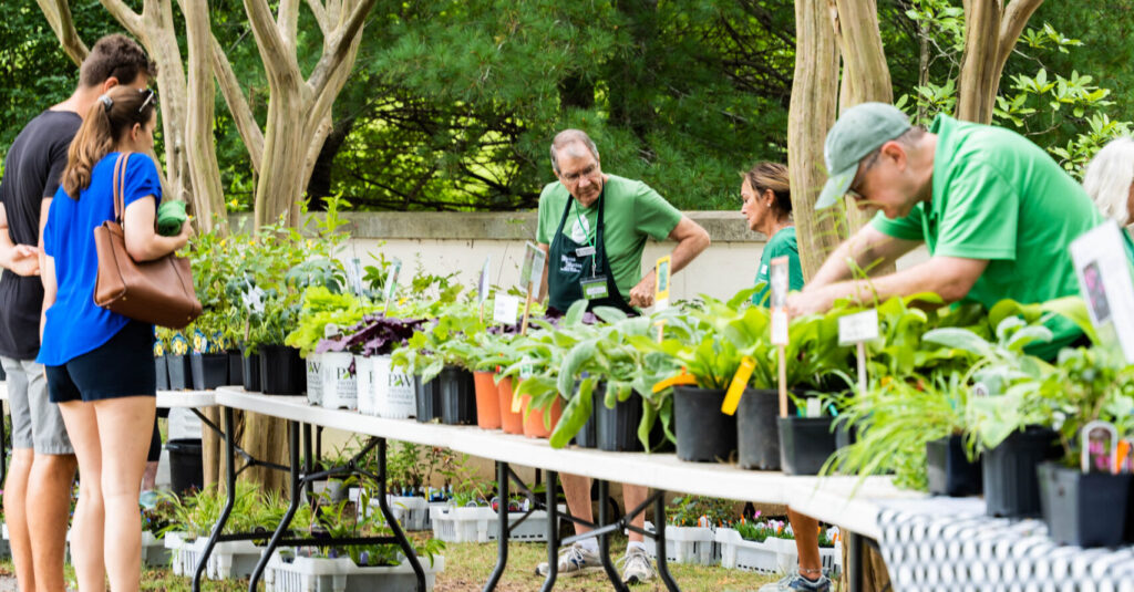 How you can become a champion for native plants and trees in Alabama How you can become a champion for native plants and trees in Alabama