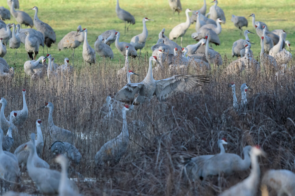 North Alabama National Wildlife Refuge ranked #2 best in the country by USA Today