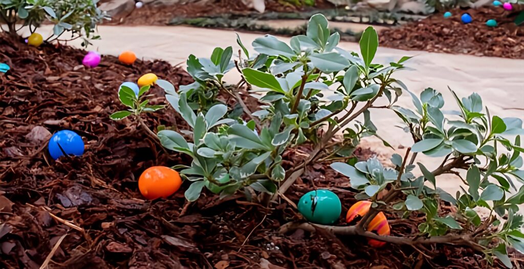 4 exciting Easter egg hunts happening around Auburn + Opelika 4 exciting Easter egg hunts happening around Auburn + Opelika