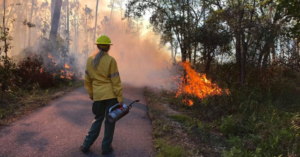 Conserving Alabama State Parks: When fires and extra pollen become a good thing