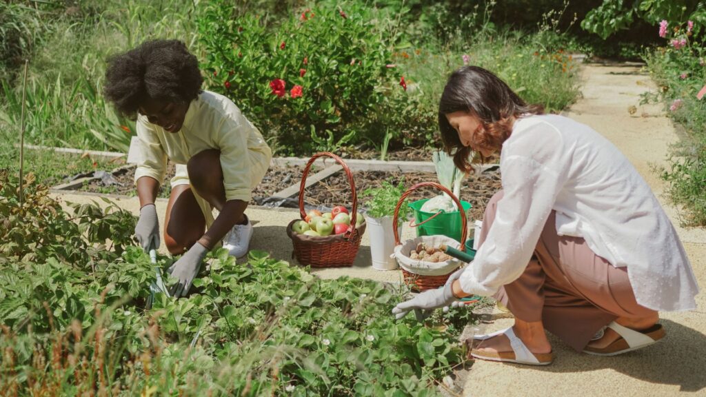 No yard? No problem! 8 community gardens across Alabama