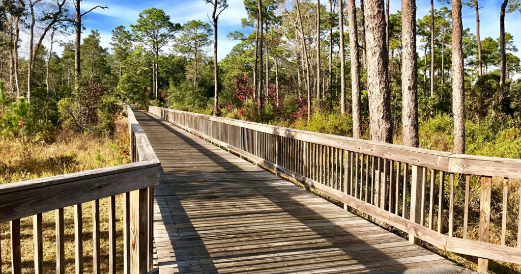 Alabama is undergoing a trails renaissance—find out how