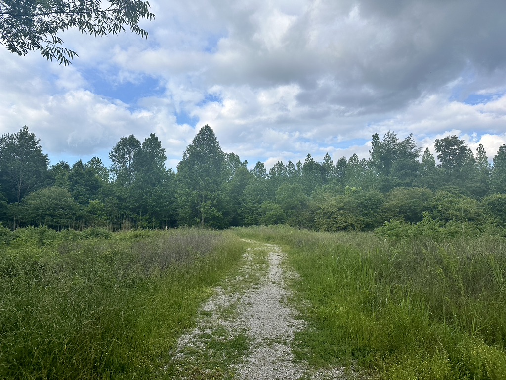 Shoal Creek Nature Preserve: A hidden Florence gem