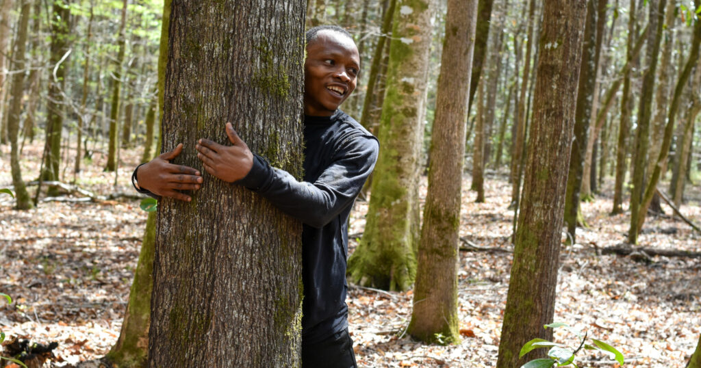 Auburn student hugs 1100+ trees to set new Guinness World Record Auburn student hugs 1100+ trees to set new Guinness World Record