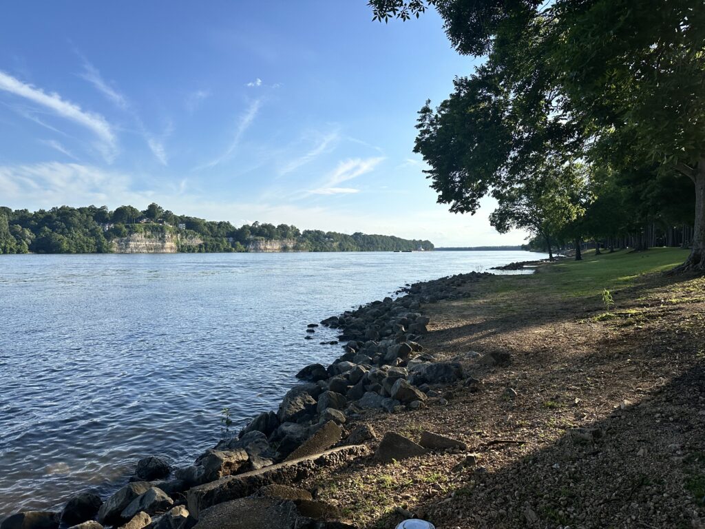 Why Florence’s McFarland Park is a must visit this summer
