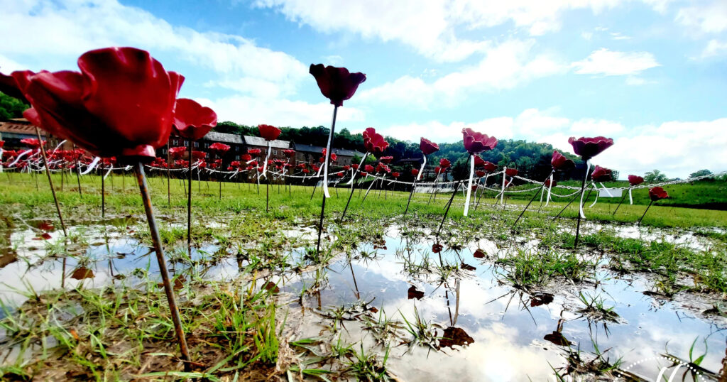 Alabama Poppy Project returns for annual Memorial Day event Alabama Poppy Project returns for annual Memorial Day event