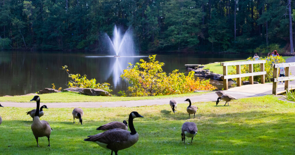 Your guide to 7 of the best gardens in Alabama Your guide to 7 of the best gardens in Alabama