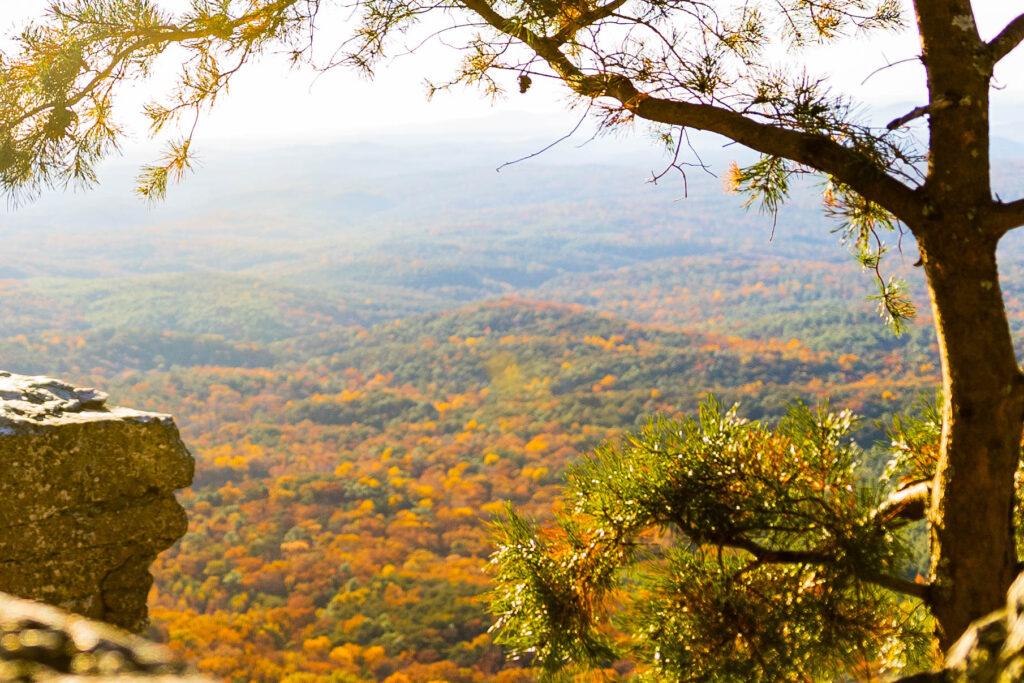 Ambassadors wanted to promote Alabama State Parks on social media