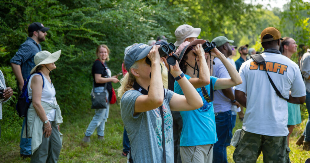 10 new stops added to Alabama Birding Trails 10 new stops added to Alabama Birding Trails