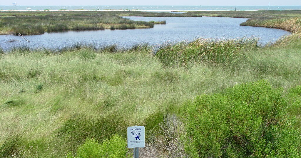 79 acres on Fort Morgan Peninsula to be conserved for coastal wildlife
