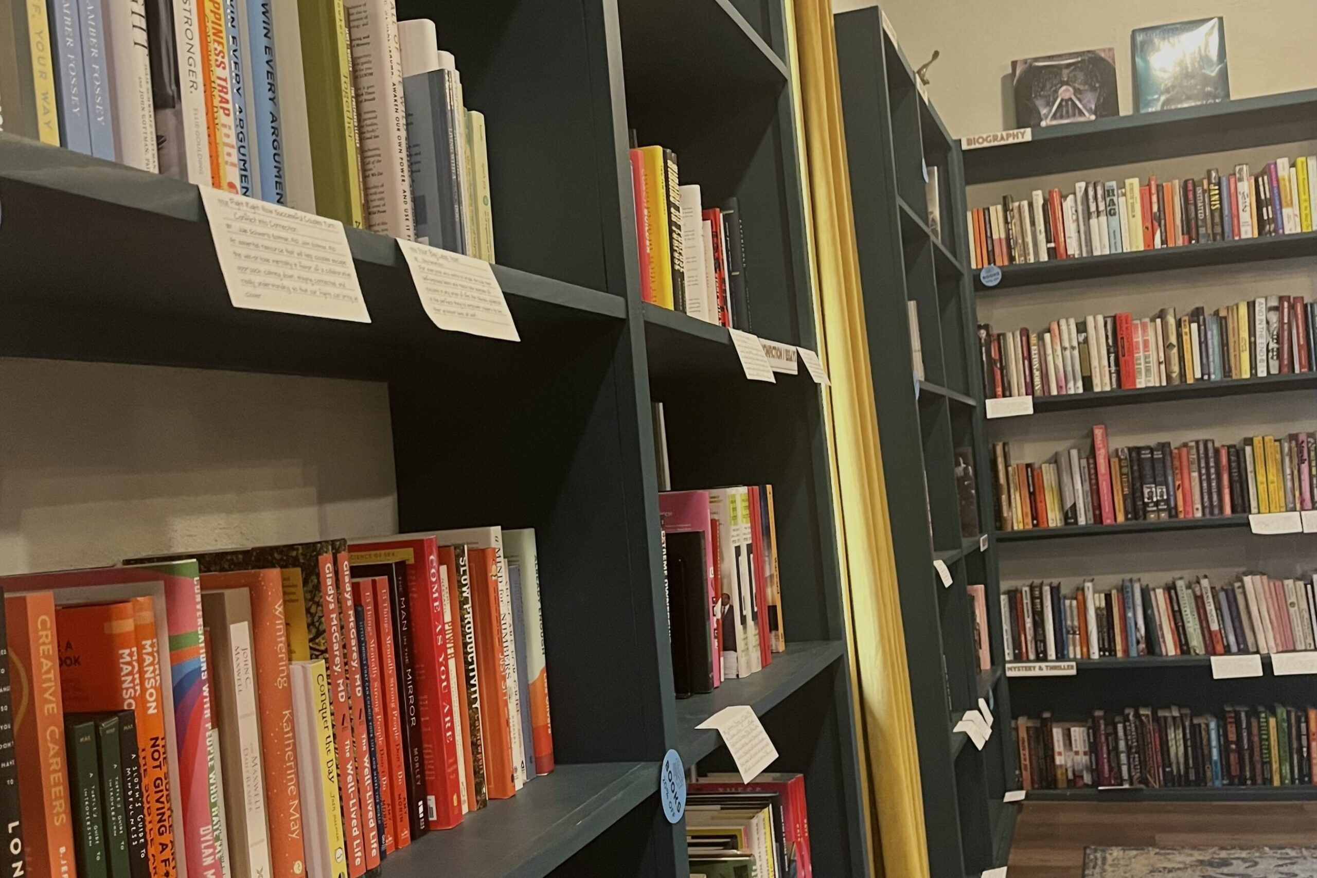 Paging all book-lovers: 3 Auburn authors you’ll want to check out Paging all book-lovers: 3 Auburn authors you’ll want to check out
