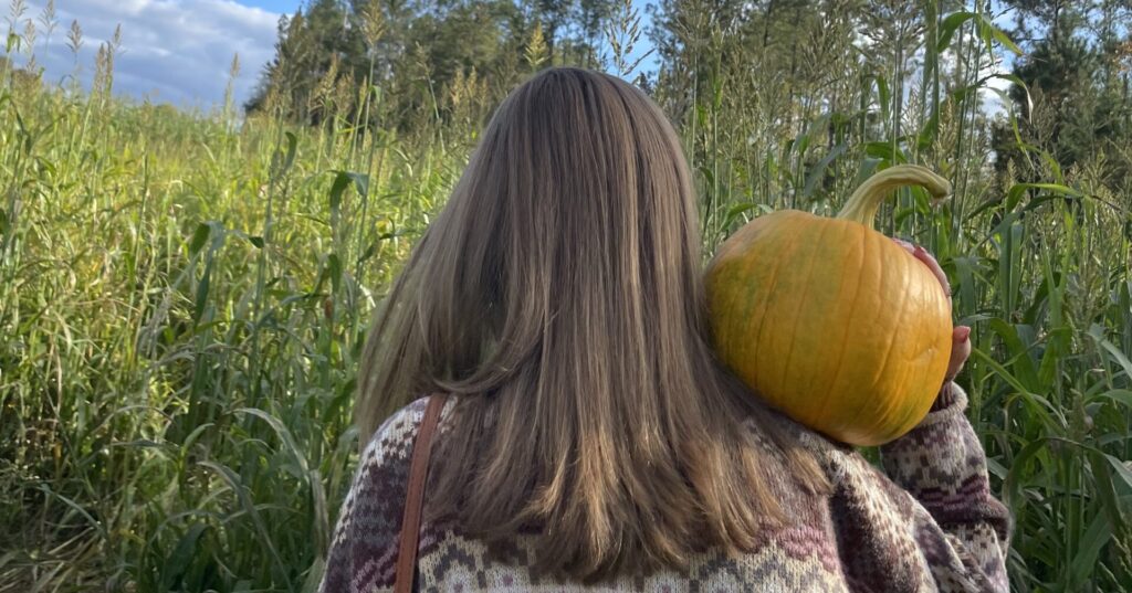 8 pumpkin patches for the perfect fall photos 8 pumpkin patches for the perfect fall photos
