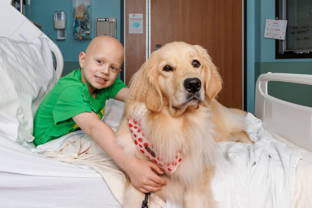 The unbreakable bond of a 6-year-old boy + Wanda the medical dog The unbreakable bond of a 6-year-old boy + Wanda the medical dog