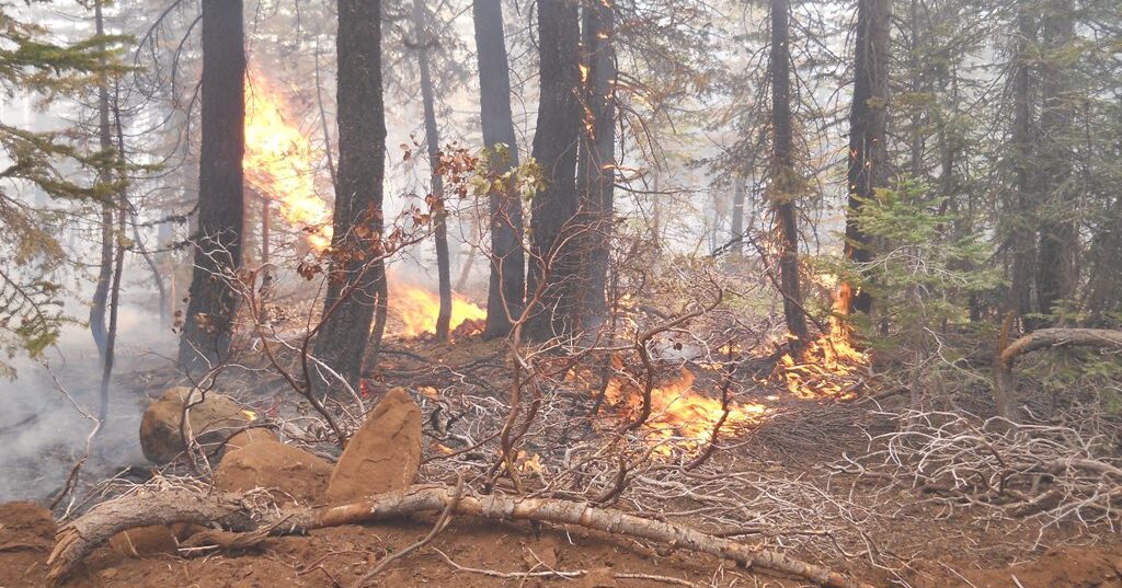 Alabama’s lack of rain leads to statewide Fire Danger Advisory Alabama’s lack of rain leads to statewide Fire Danger Advisory
