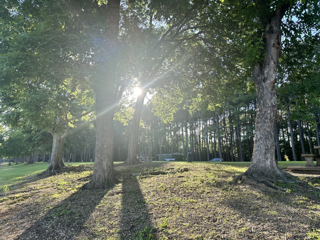 Improvements coming soon to Florence’s beloved McFarland Park Improvements coming soon to Florence’s beloved McFarland Park