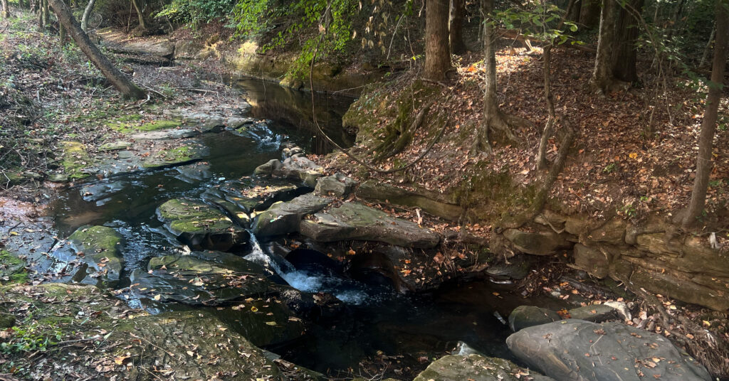 Your guide to 5 must-see Alabama hiking trails Your guide to 5 must-see Alabama hiking trails