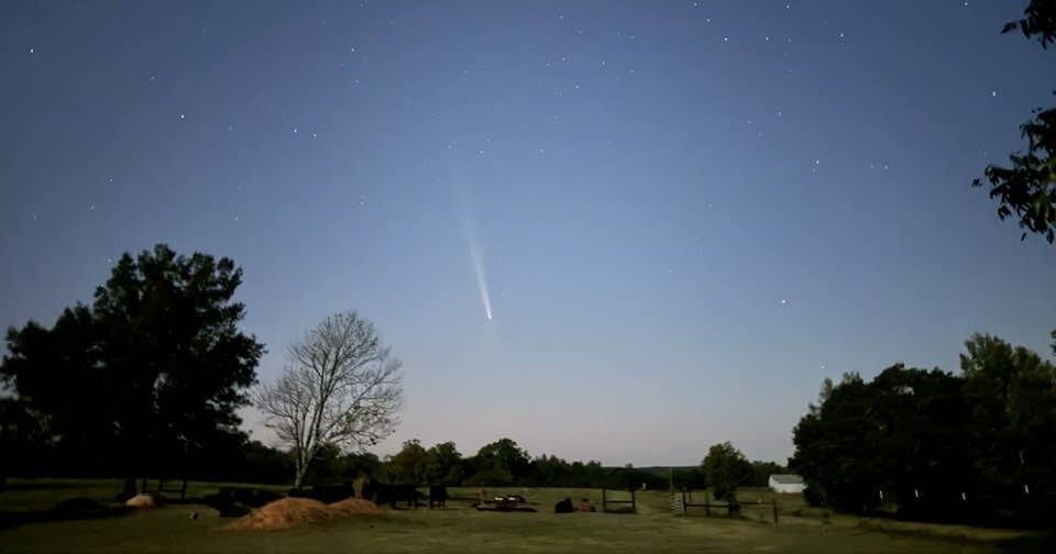 Orionid meteor shower set to peak Oct. 20: How to see it + other celestial events