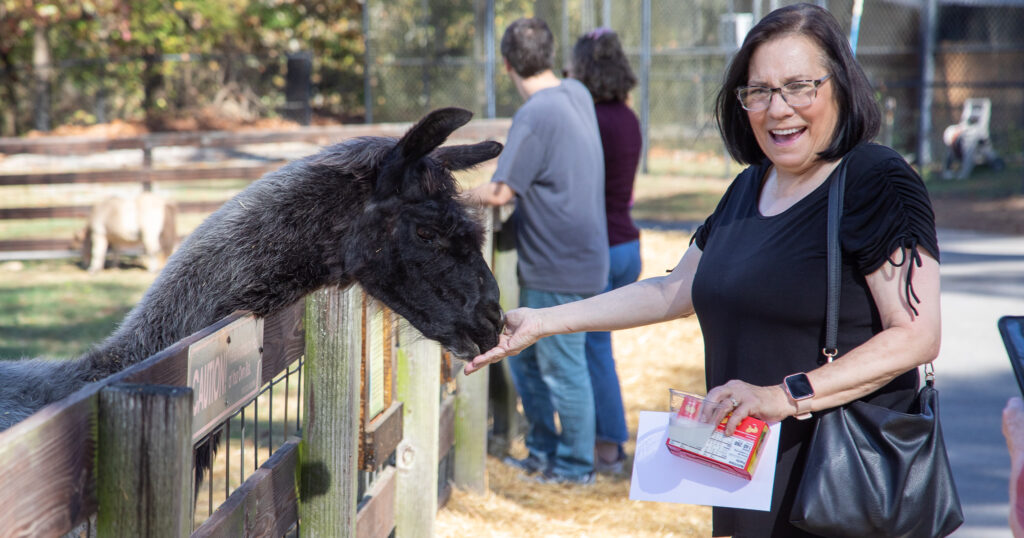 Noccalula Falls Park re-opens animal barn three years after devastating fire