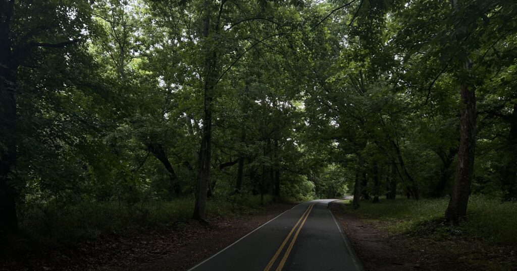 Sweet Trails Alabama: State’s first comprehensive guide to outdoor recreation